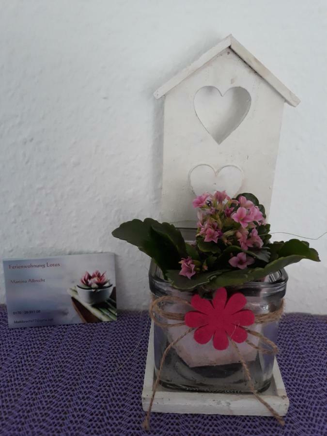 Appartamento Lotus Bad Bellingen Esterno foto